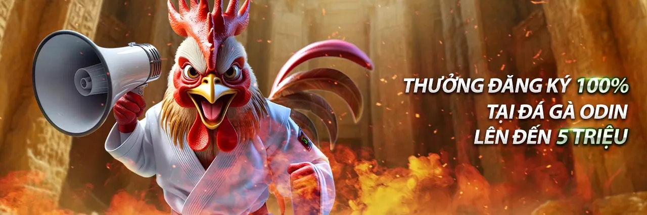 Sảnh Đá Gà Trực Tuyến Sôi Động tại bong da 88 keo nha cai